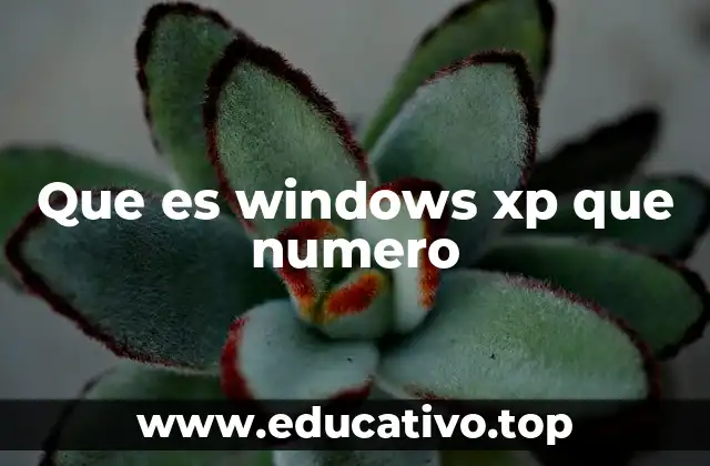 Que es windows xp que numero