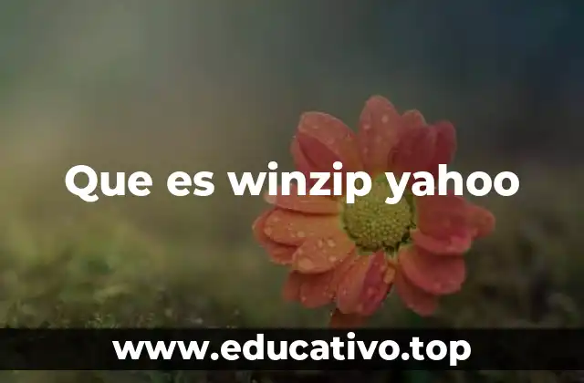 Que es winzip yahoo