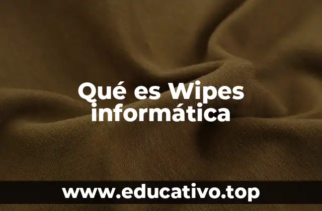Qué es Wipes informática