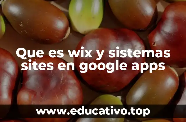 Que es wix y sistemas sites en google apps