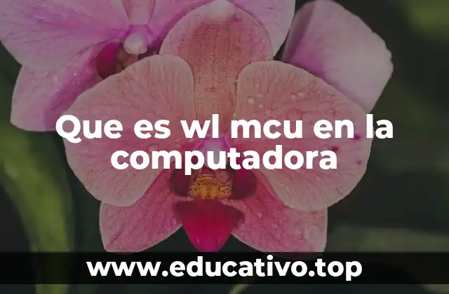 Que es wl mcu en la computadora