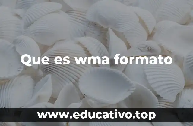 Que es wma formato
