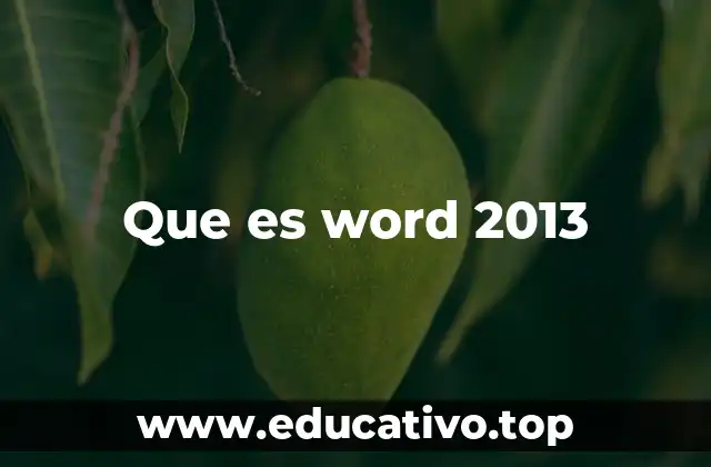 Que es word 2013
