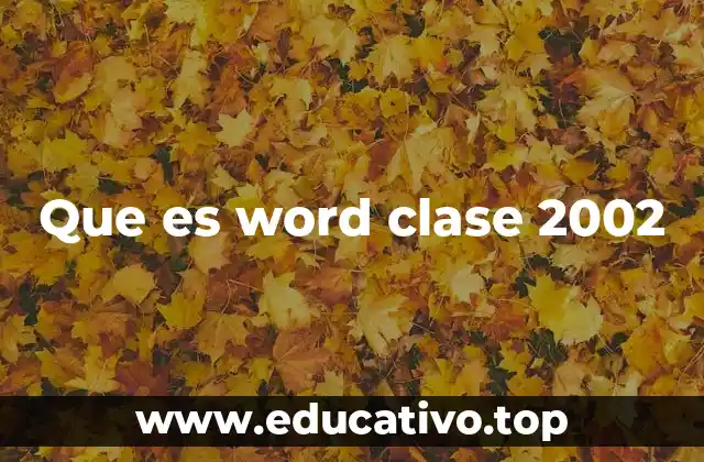 Que es word clase 2002