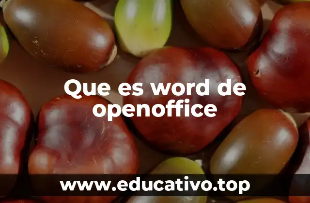 Que es word de openoffice