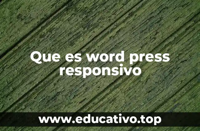 Que es word press responsivo