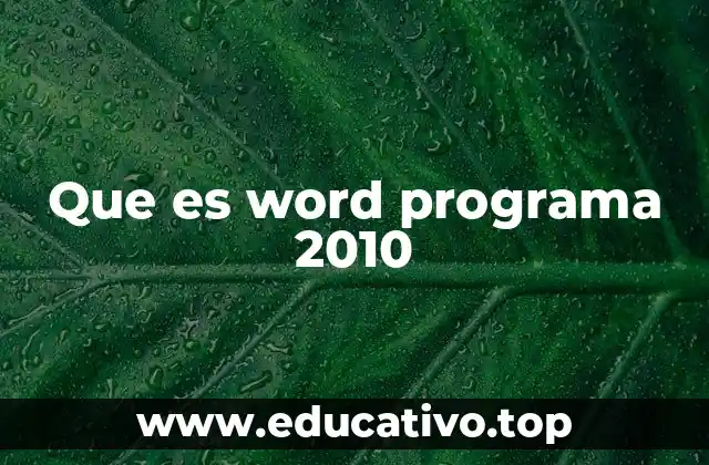 Que es word programa 2010