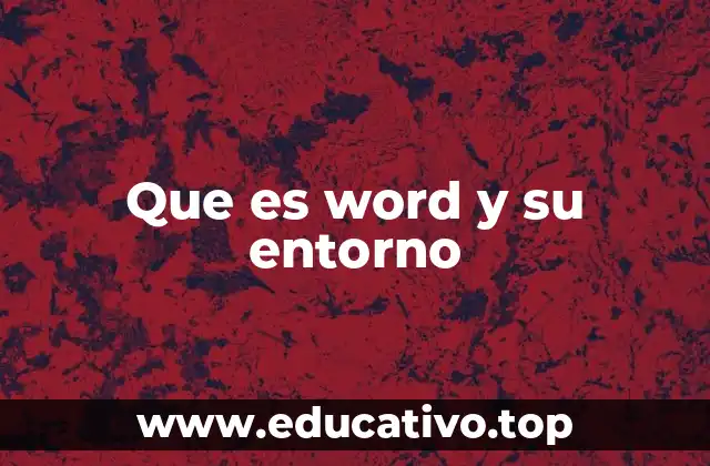 Que es word y su entorno