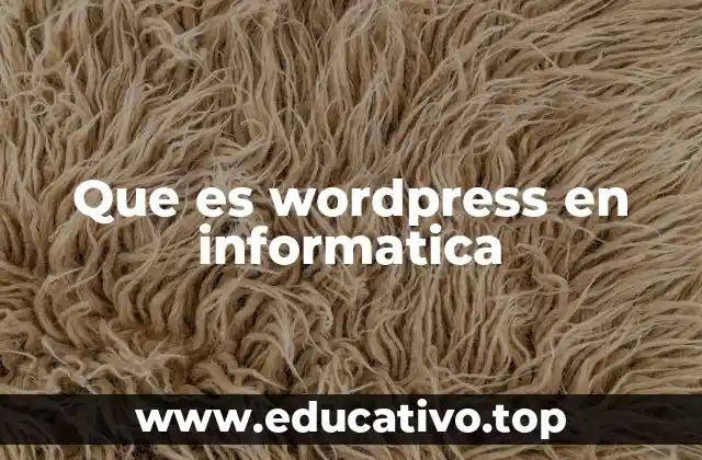 Que es wordpress en informatica