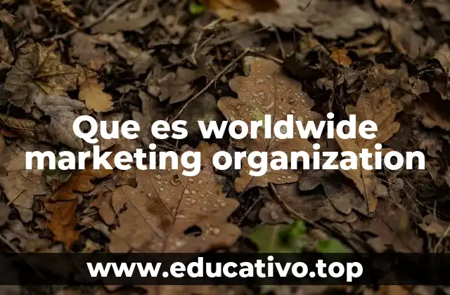 Que es worldwide marketing organization