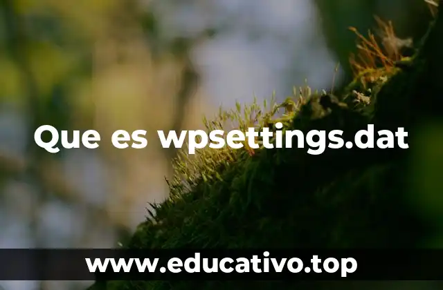 El rol de wpsettings.dat en la personalización del sistema
