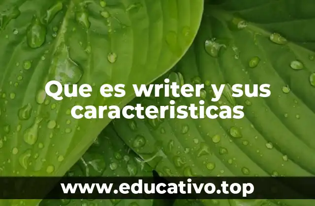 Que es writer y sus caracteristicas