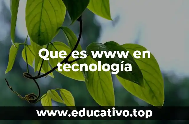 Que es www en tecnología