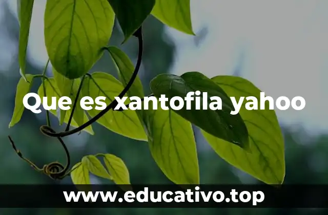 Que es xantofila yahoo