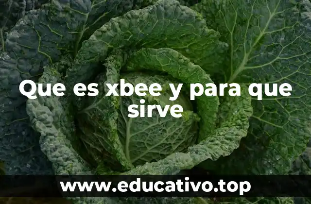 Que es xbee y para que sirve