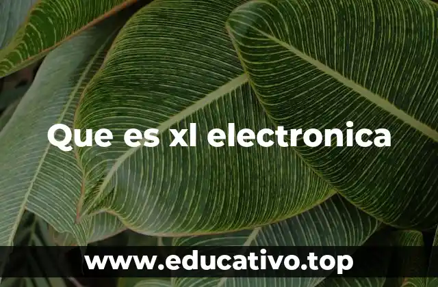 Que es xl electronica