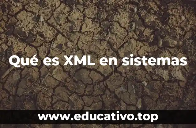 Qué es XML en sistemas