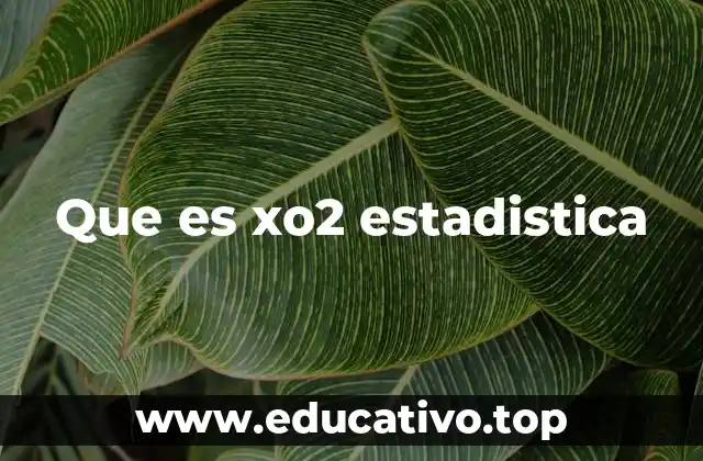 Que es xo2 estadistica