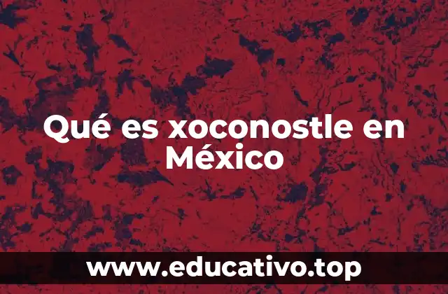 La importancia del xoconostle en la cocina tradicional