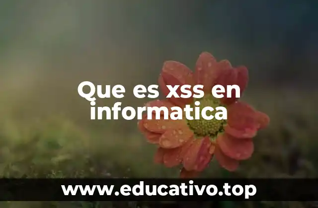 Que es xss en informatica