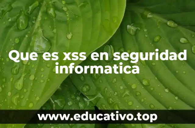 Que es xss en seguridad informatica