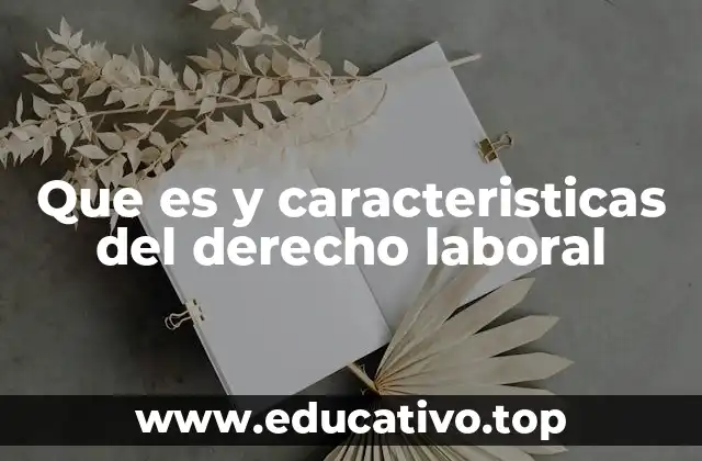 La importancia del derecho laboral en la sociedad