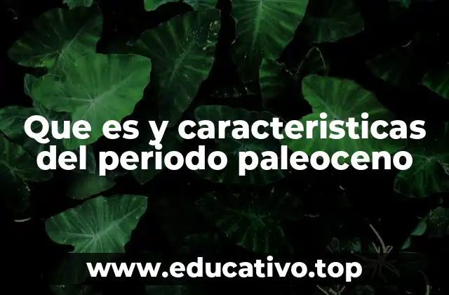Que es y caracteristicas del periodo paleoceno