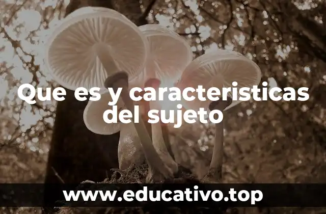 Que es y caracteristicas del sujeto