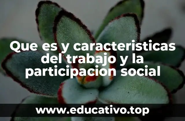 Que es y caracteristicas del trabajo y la participacion social