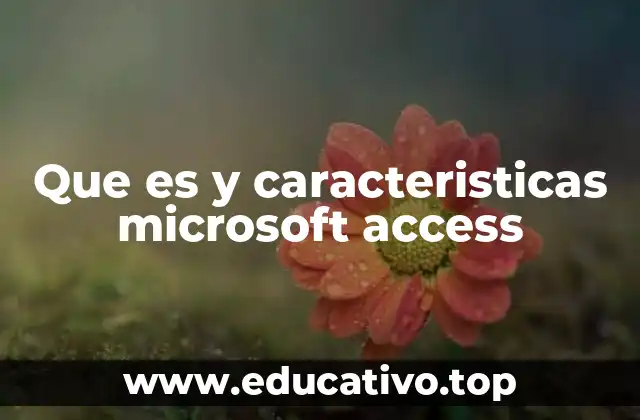 Que es y caracteristicas microsoft access