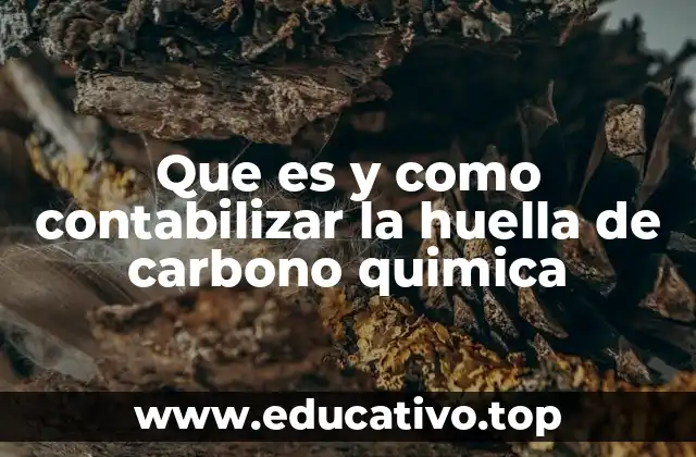Que es y como contabilizar la huella de carbono quimica