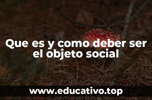 Que es y como deber ser el objeto social
