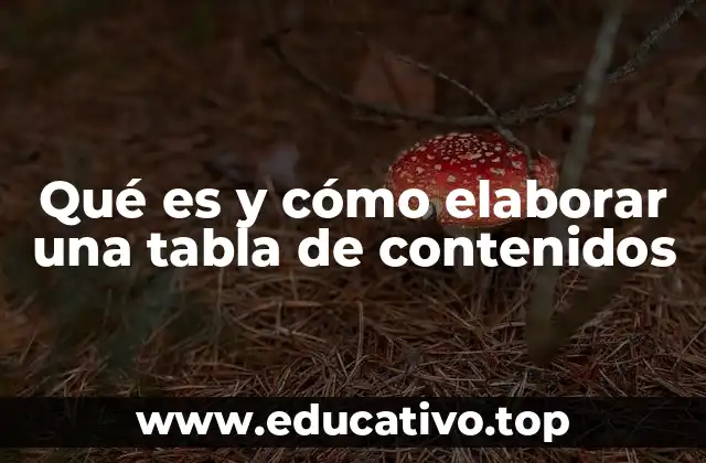 La importancia de una estructura clara en la redacción de textos largos