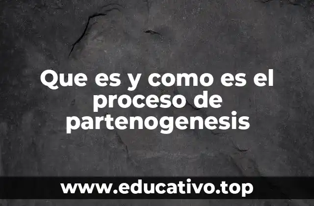 Que es y como es el proceso de partenogenesis