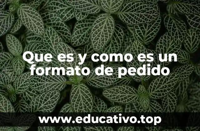 Que es y como es un formato de pedido
