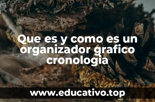 Que es y como es un organizador grafico cronologia