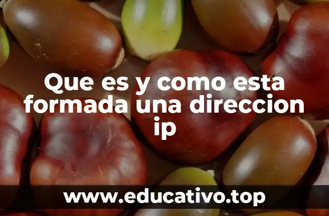 Que es y como esta formada una direccion ip