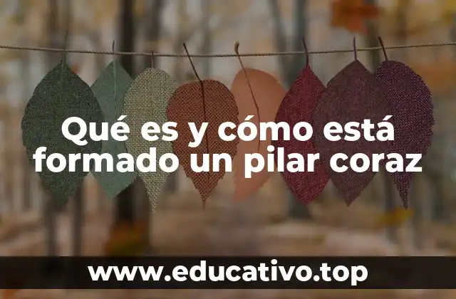 Qué es y cómo está formado un pilar coraz