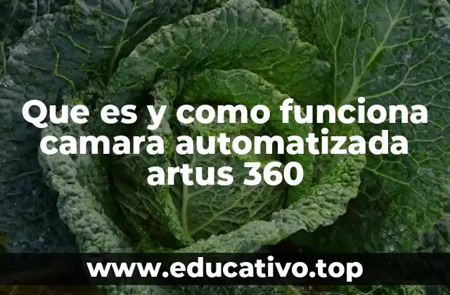 Que es y como funciona camara automatizada artus 360