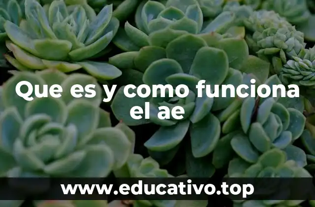 El AE como herramienta de gestión administrativa