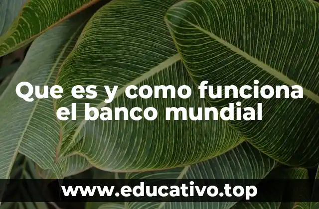 Que es y como funciona el banco mundial