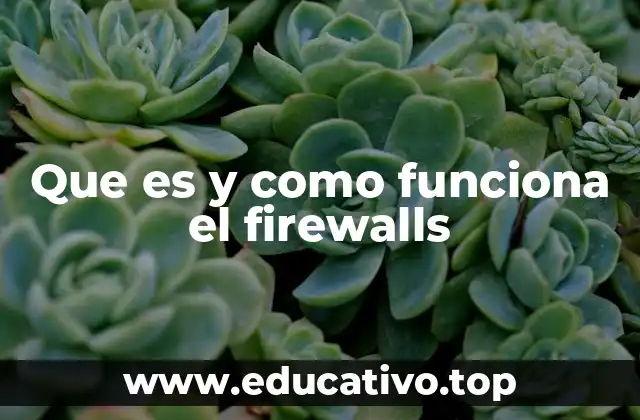 Que es y como funciona el firewalls