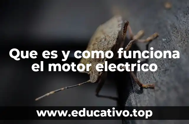 Que es y como funciona el motor electrico