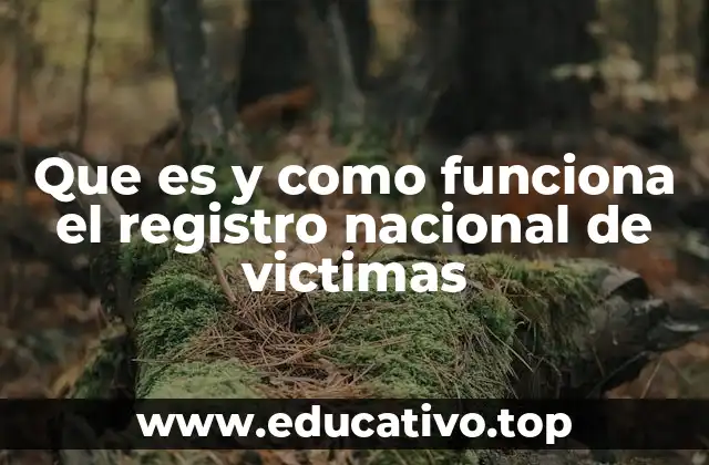 Que es y como funciona el registro nacional de victimas