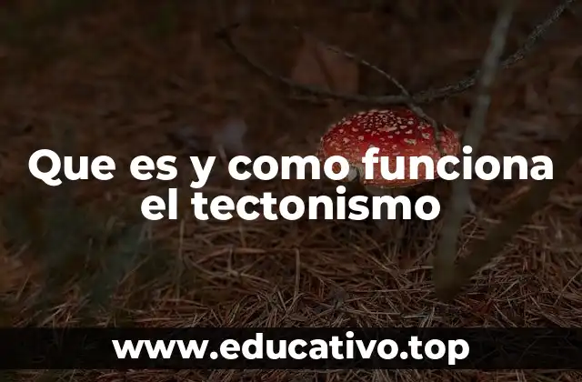 Que es y como funciona el tectonismo
