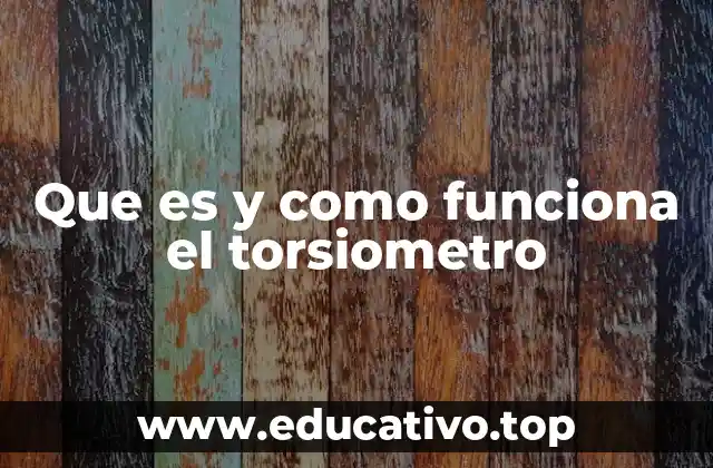 Que es y como funciona el torsiometro