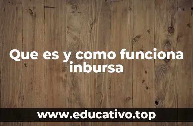 Que es y como funciona inbursa
