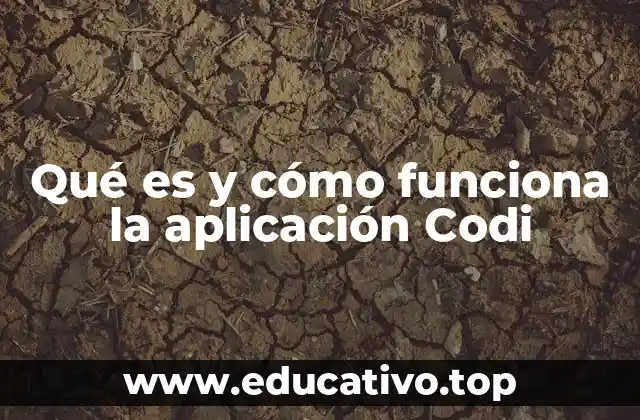 Qué es y cómo funciona la aplicación Codi