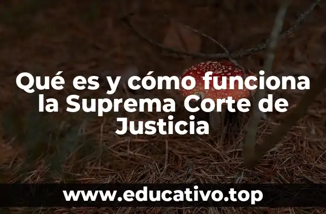 Qué es y cómo funciona la Suprema Corte de Justicia