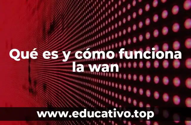 Qué es y cómo funciona la wan